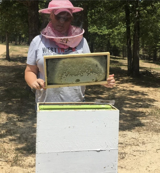Beekeeping For Beekeepers